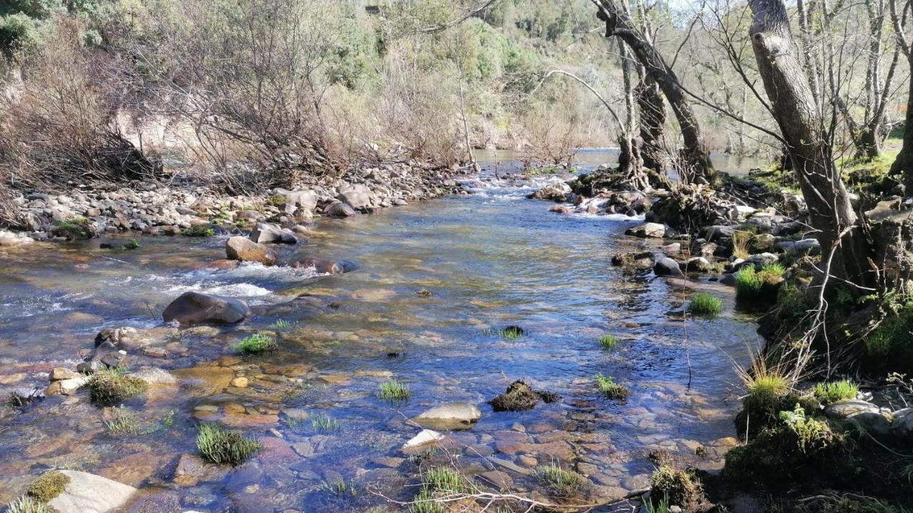 Vila Casa Do Adro-Passadicos Do Paiva Arouca Exteriér fotografie