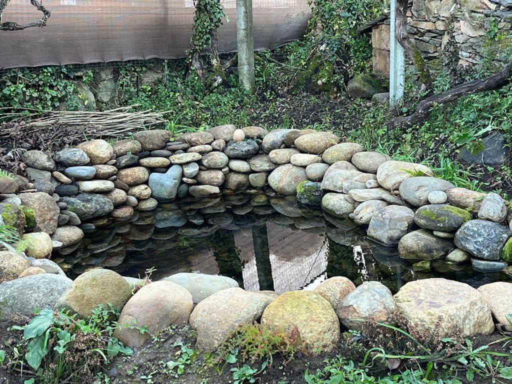 Vila Casa Do Adro-Passadicos Do Paiva Arouca Exteriér fotografie