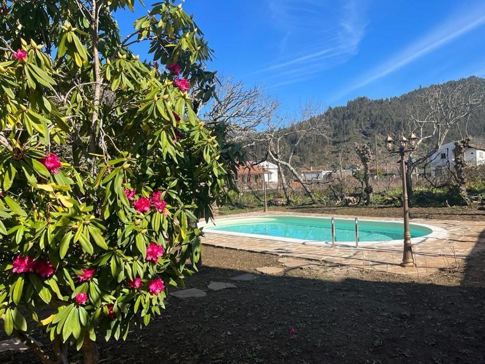 Vila Casa Do Adro-Passadicos Do Paiva Arouca Exteriér fotografie
